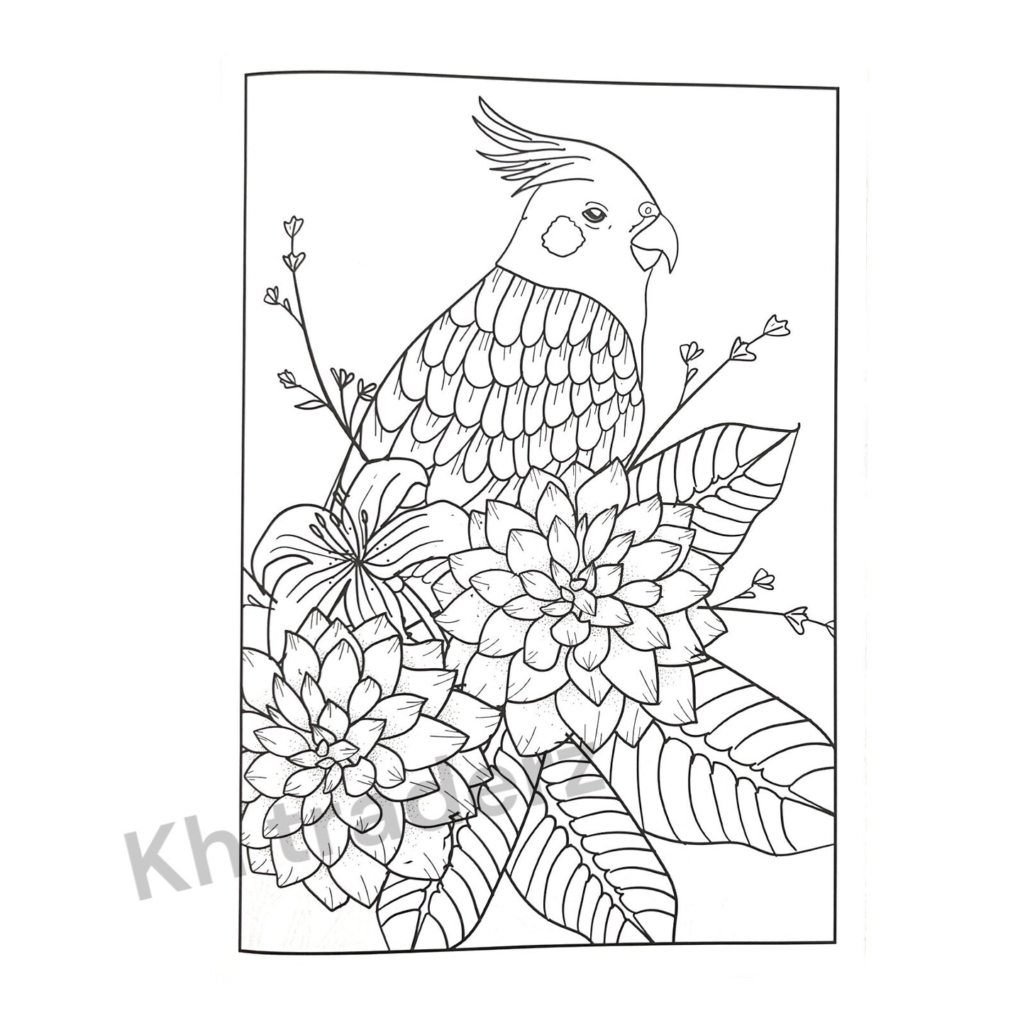 PEACEFUL ADULT COLOURING BOOK