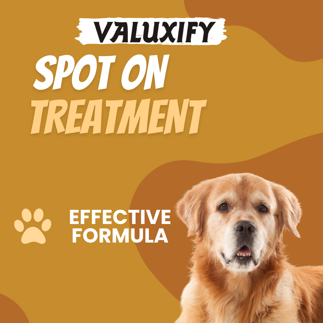 Spot on Flea and Tick Treatment for Dog