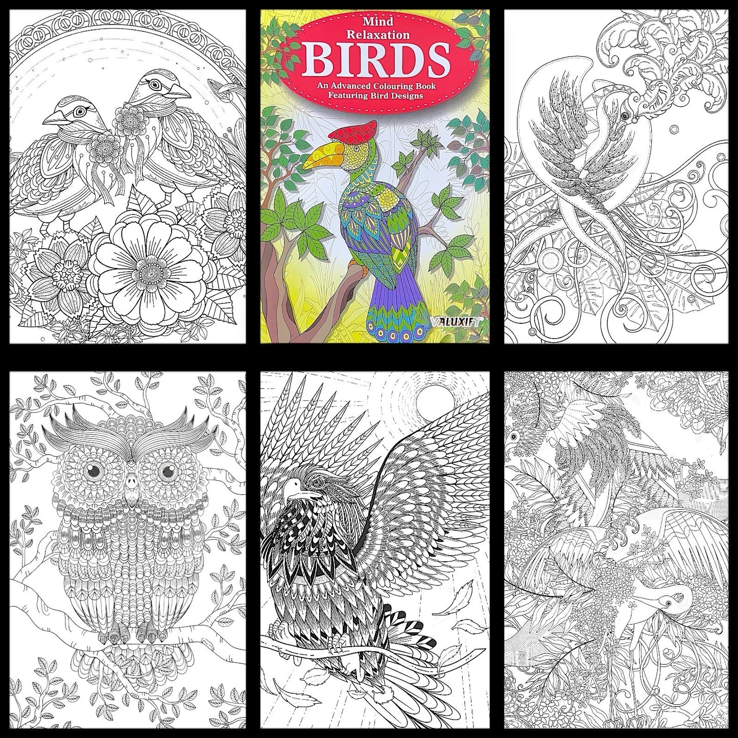 Birds BOOK Advanced COLOURING  MIND RELAXING Adult Colour Therapy  + 18 Pencils