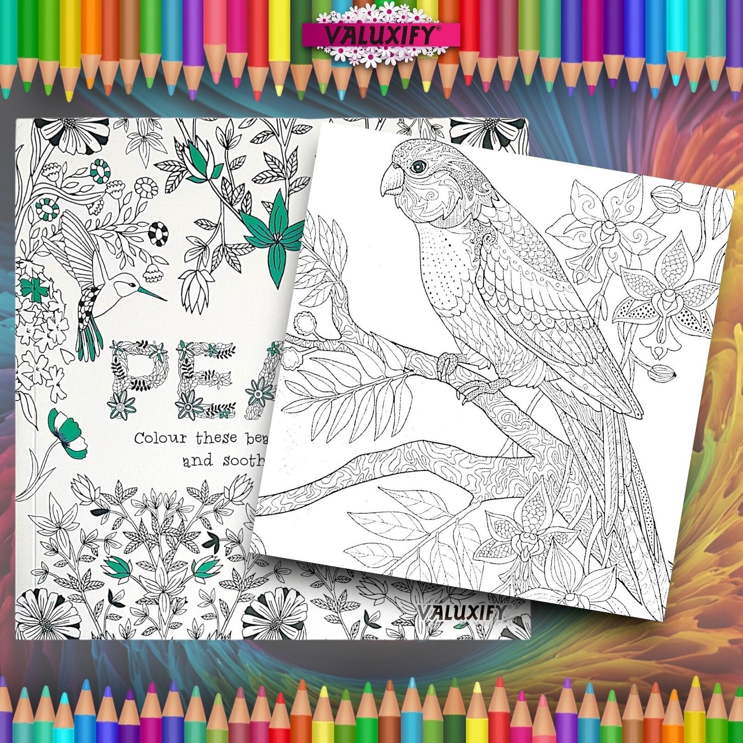 Advance Adult Colouring Books Mindfulness Relax Your Mind Colour Therapy 2 Books