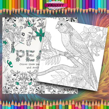 Advance Adult Colouring Books Mindfulness Relax Your Mind Colour Therapy 2 Books