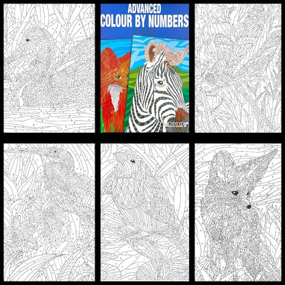 Adult & Teen Advanced Colouring Books – Stress Relief Art Therapy Patterns