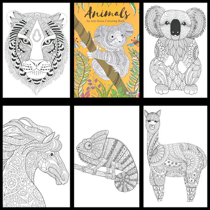 Adult Anti Stress Colouring Book Animals Birds Butterflies Jungle Ocean Colour