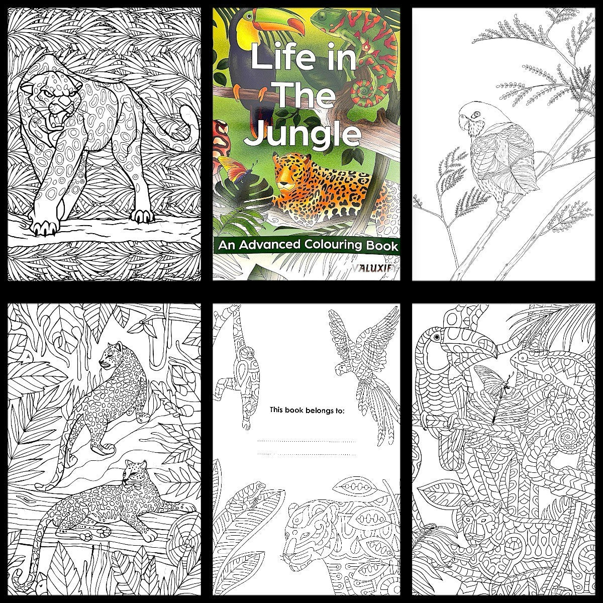 Adult Anti Stress Colouring Book Animals Birds Butterflies Jungle Ocean Colour