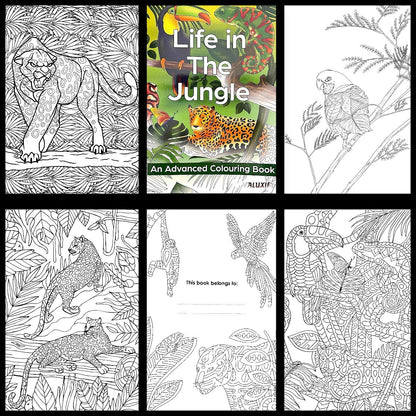 Adult Anti Stress Colouring Book Animals Birds Butterflies Jungle Ocean Colour