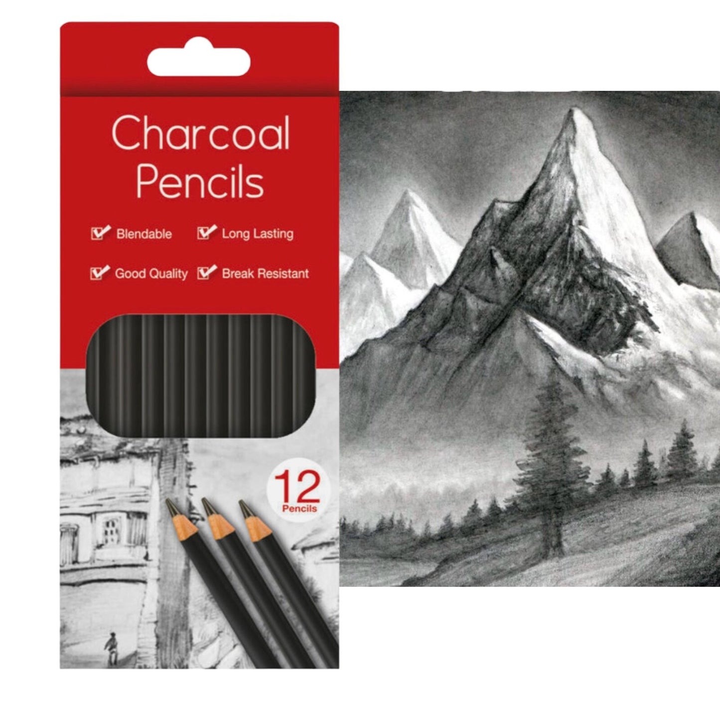 12 | Charcoal Sketching Pencils Drawing Tones Shades Art Artist Picture Pencil