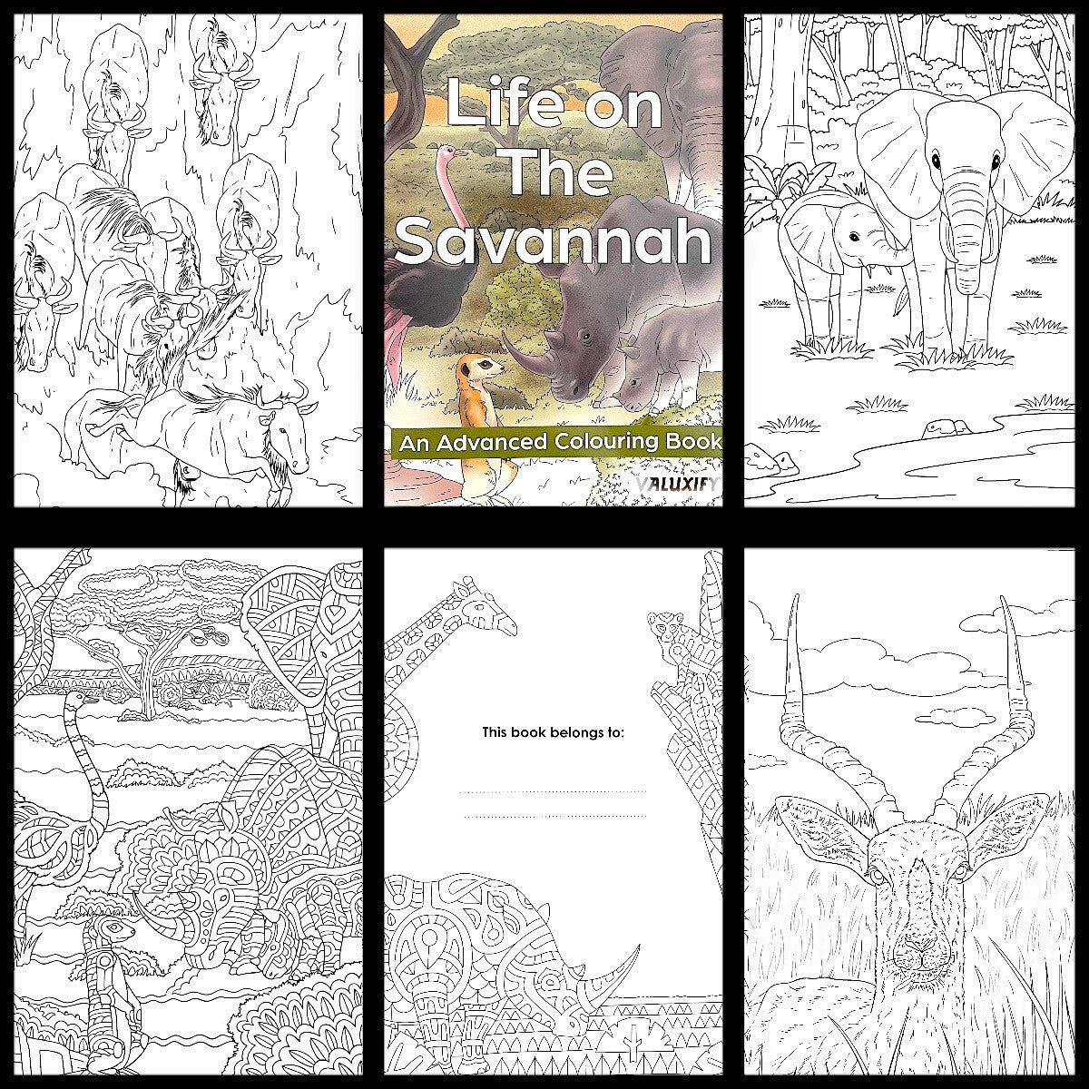 Adult & Teen Advanced Colouring Books – Stress Relief Art Therapy Patterns