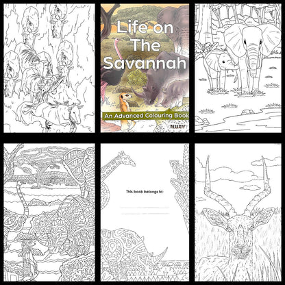 Adult & Teen Advanced Colouring Books – Stress Relief Art Therapy Patterns