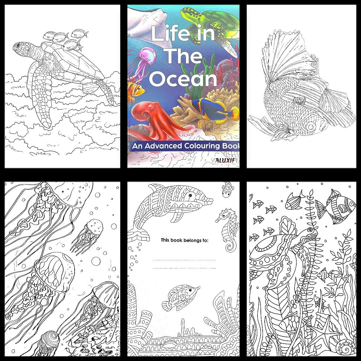 Adult Anti Stress Colouring Book Animals Birds Butterflies Jungle Ocean Colour