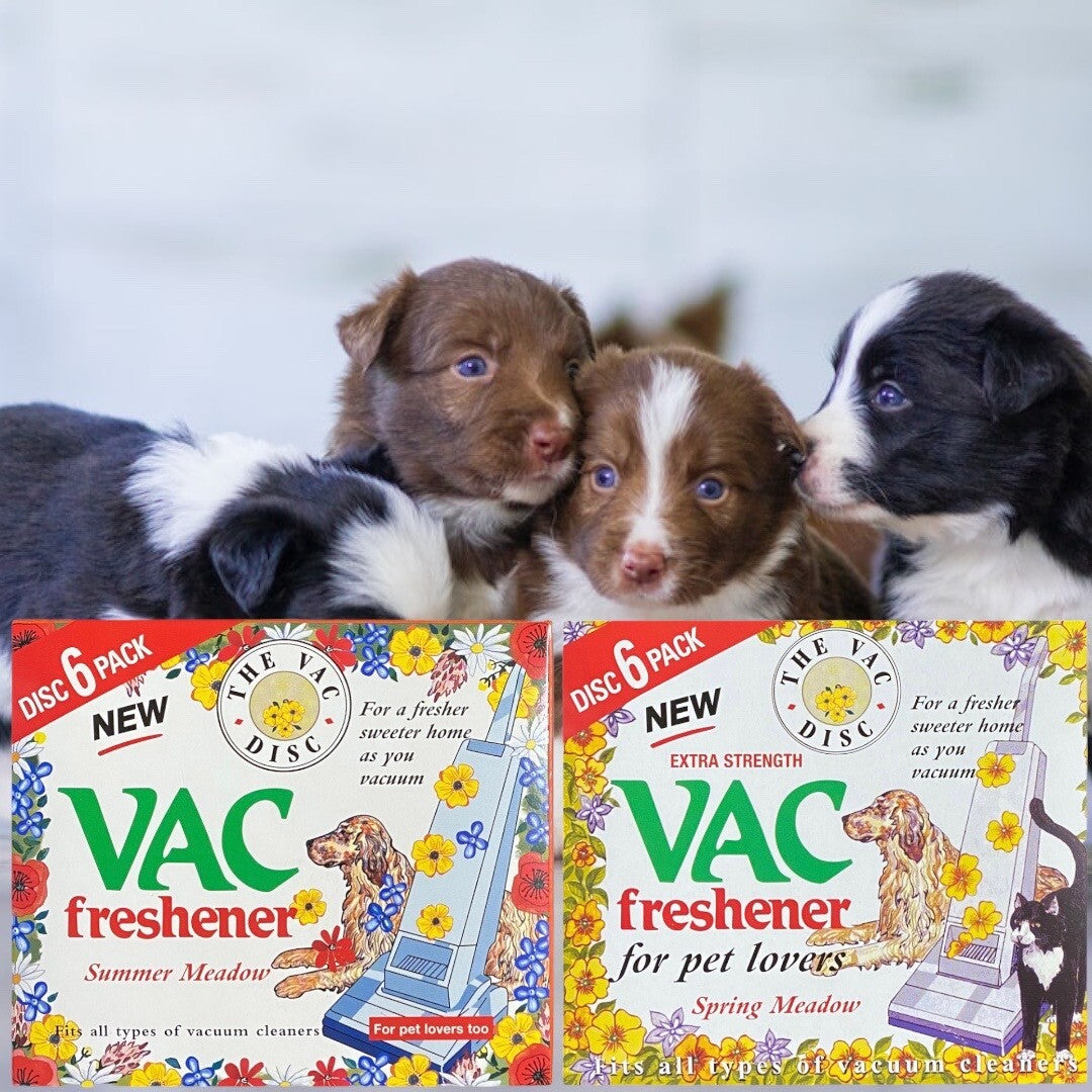 Vac Disc Vacuum Cleaner Air Freshener Discs Hoover Freshner any vacuum cleaner