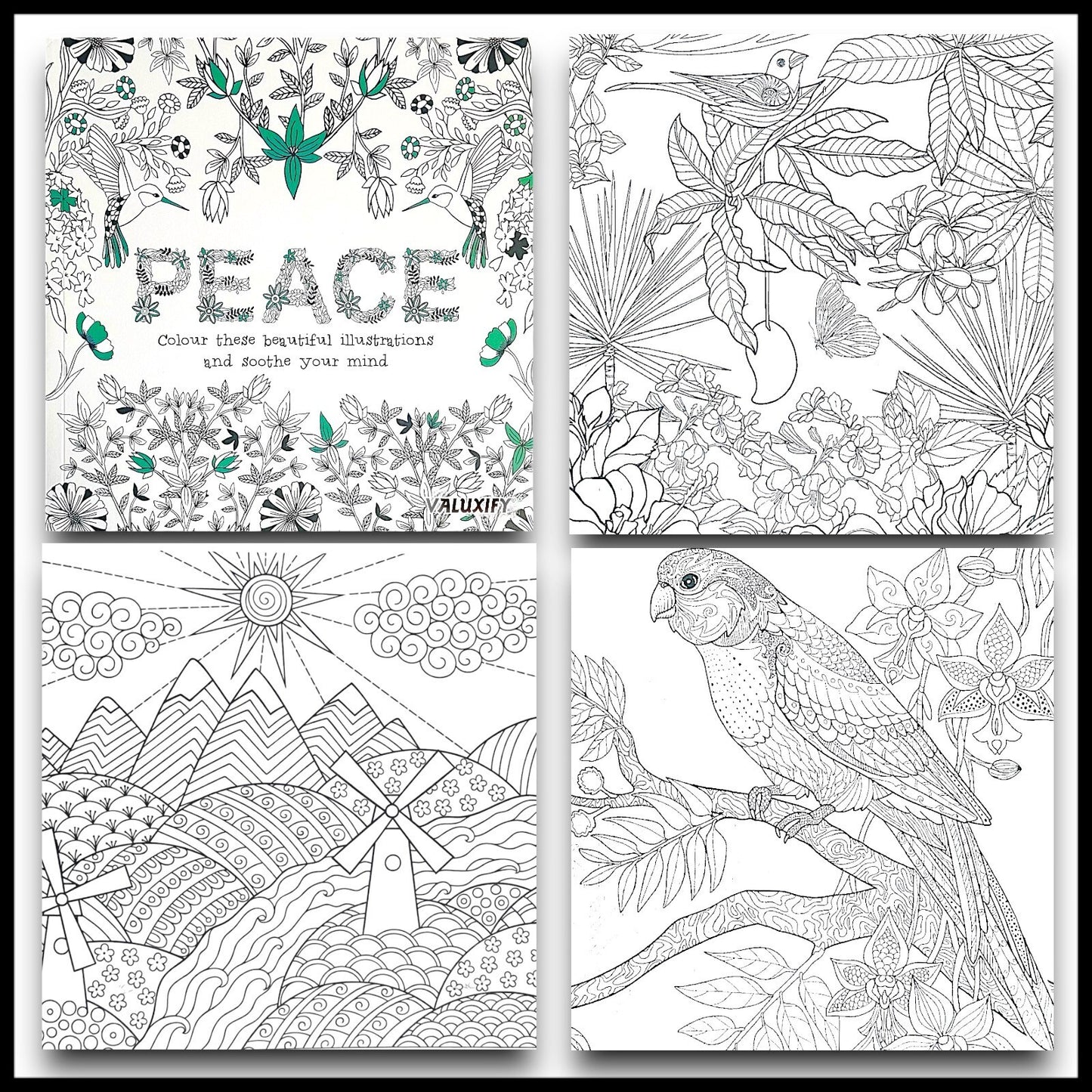 Advance Adult Colouring Books Mindfulness Relax Your Mind Colour Therapy 2 Books