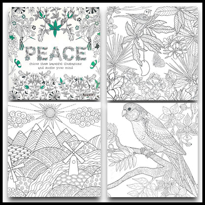 Advance Adult Colouring Books Mindfulness Relax Your Mind Colour Therapy 2 Books