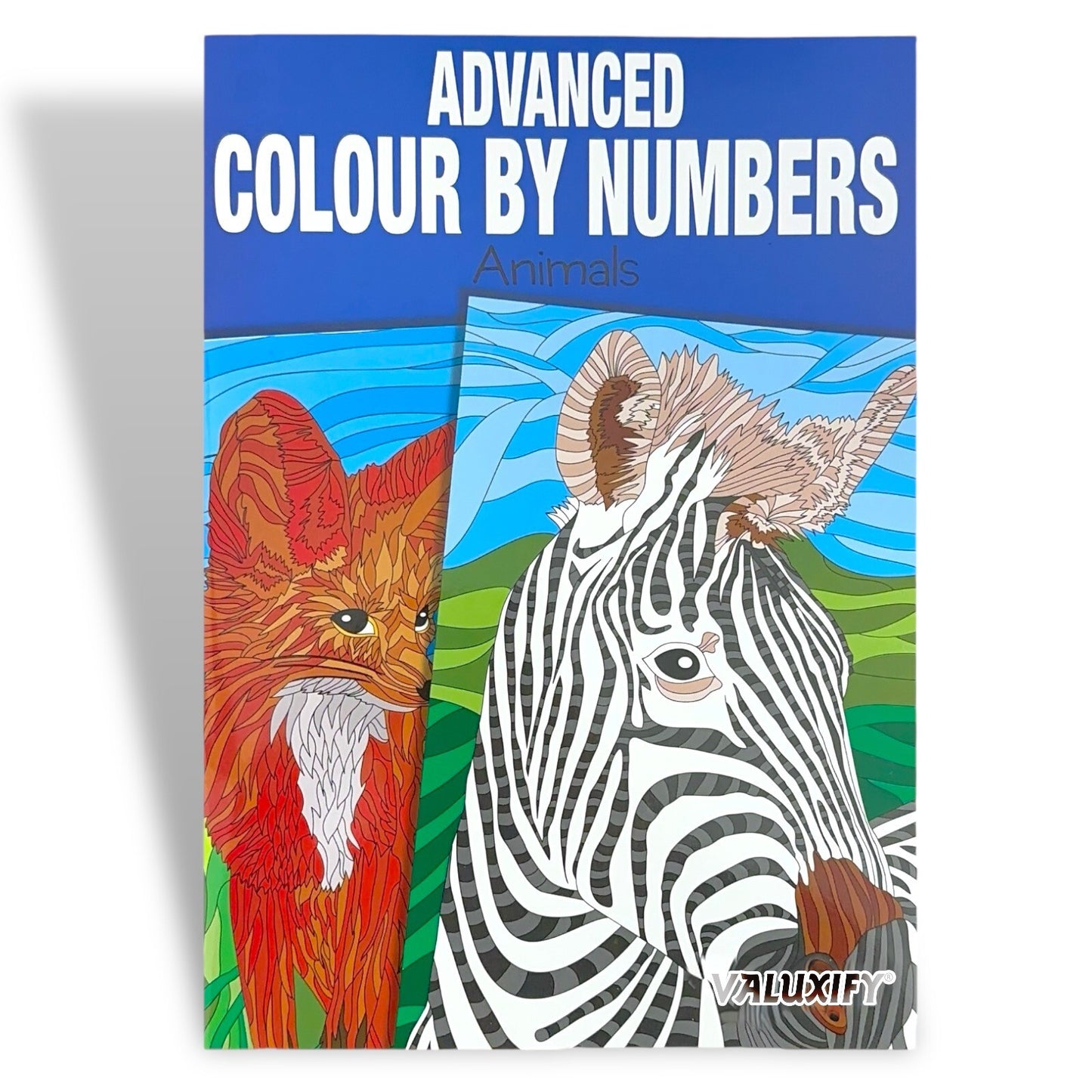 Adult & Teen Advanced Colouring Books – Stress Relief Art Therapy Patterns