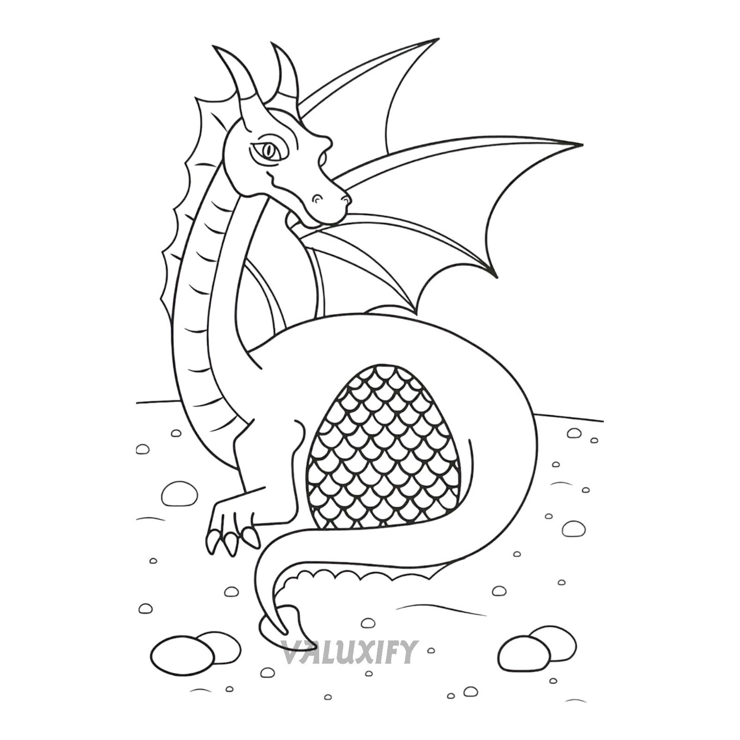 Wild Dragon & Dinosaur, Pirate Coouring Book set