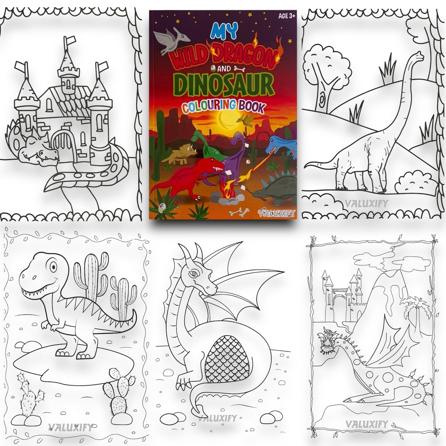 Wild Dragon & Dinosaur, Pirate Coouring Book set