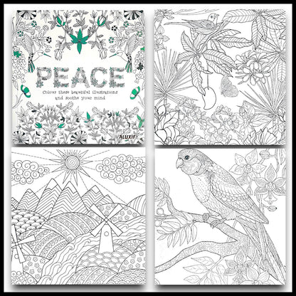 Adult Anti Stress Colouring Book Happy Love Mindfulness Tranquil Relaxing Colour