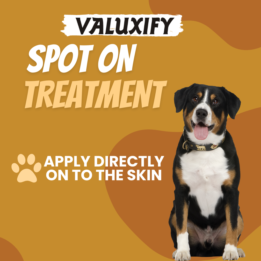 Spot on Flea and Tick Treatment for Dog