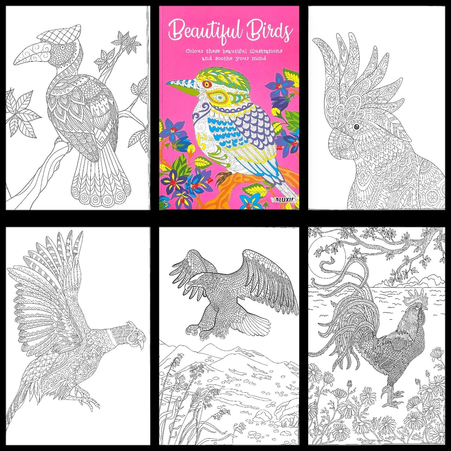 Adult Anti Stress Colouring Book Animals Birds Butterflies Jungle Ocean Colour