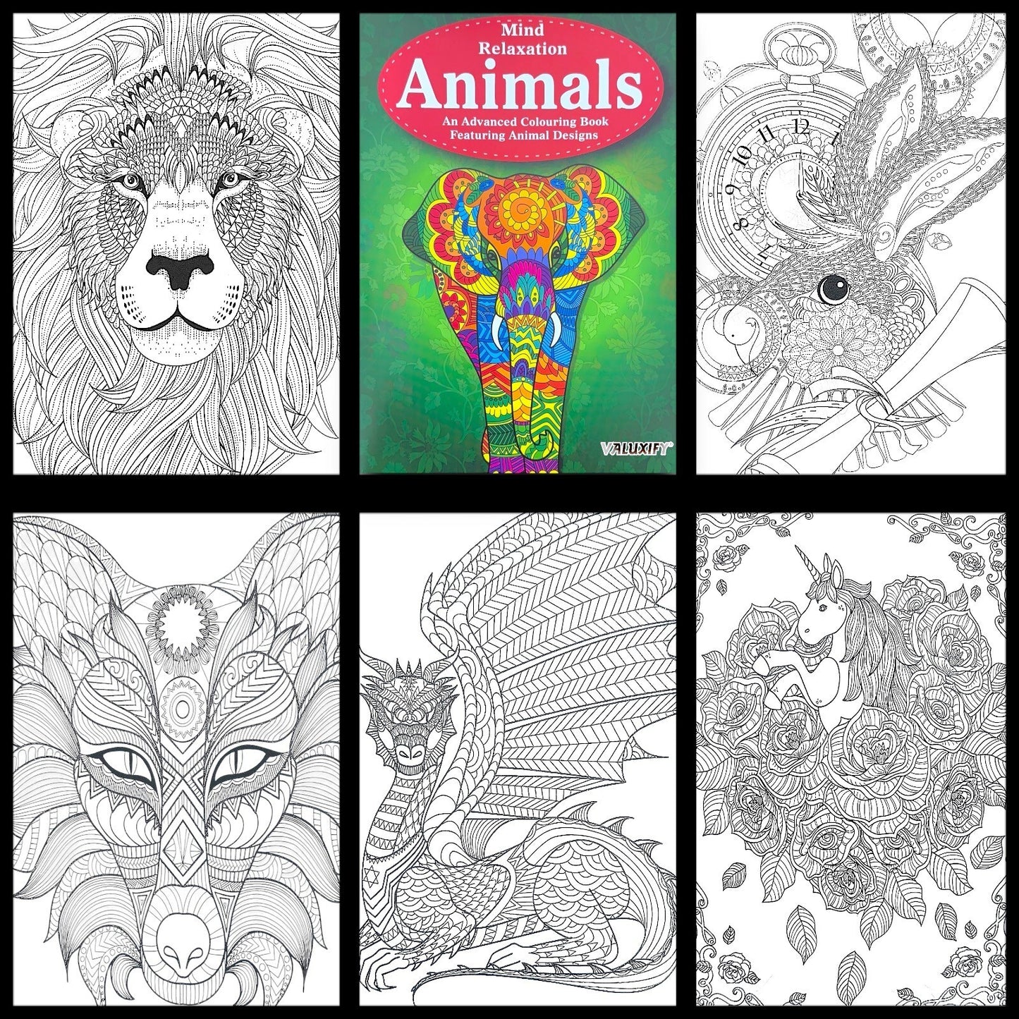 Adult & Teen Advanced Colouring Books – Stress Relief Art Therapy Patterns