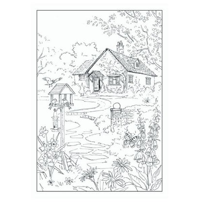 Colouring Book COUNTRY SCENES Advanced book Colour Therapy All Ages A4 size