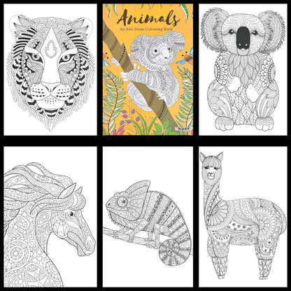 10x ADULT ANTI-STRESS COLOURING BOOK MIND RELAXING BOOKS Colour Therapy Bulk Buy