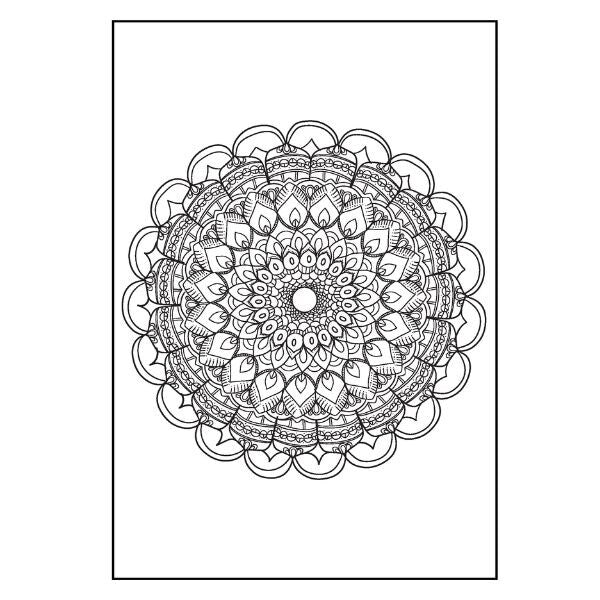 THE TRANQUIL ADULT COLOURING BOOK ANTI STRESS COLOUR THERAPY MIND RELAX A4