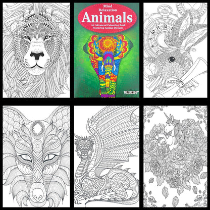 Adult & Teen Advanced Colouring Books – Stress Relief Art Therapy Patterns