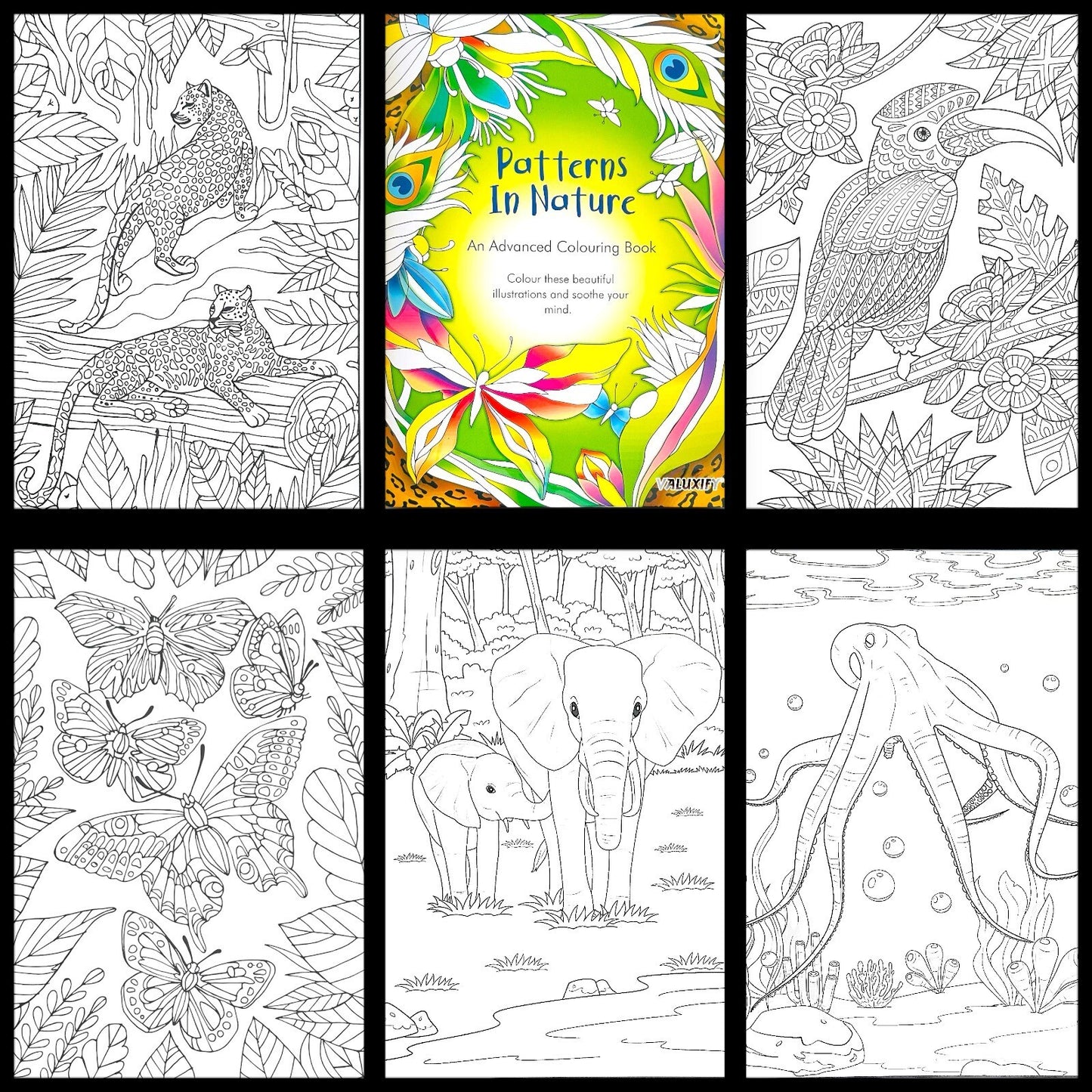Adult & Teen Advanced Colouring Books – Stress Relief Art Therapy Patterns
