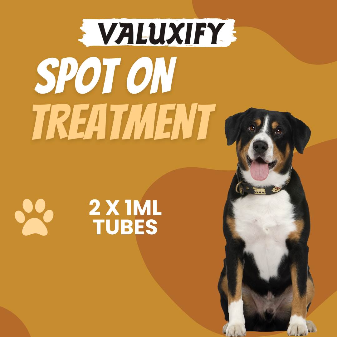 Spot on Flea and Tick Treatment for Dog