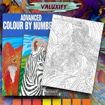 3X COLOUR BY NUMBERS ADULT COLOURING BOOKS ANTI-STRESS MIND RELAING COLOURS