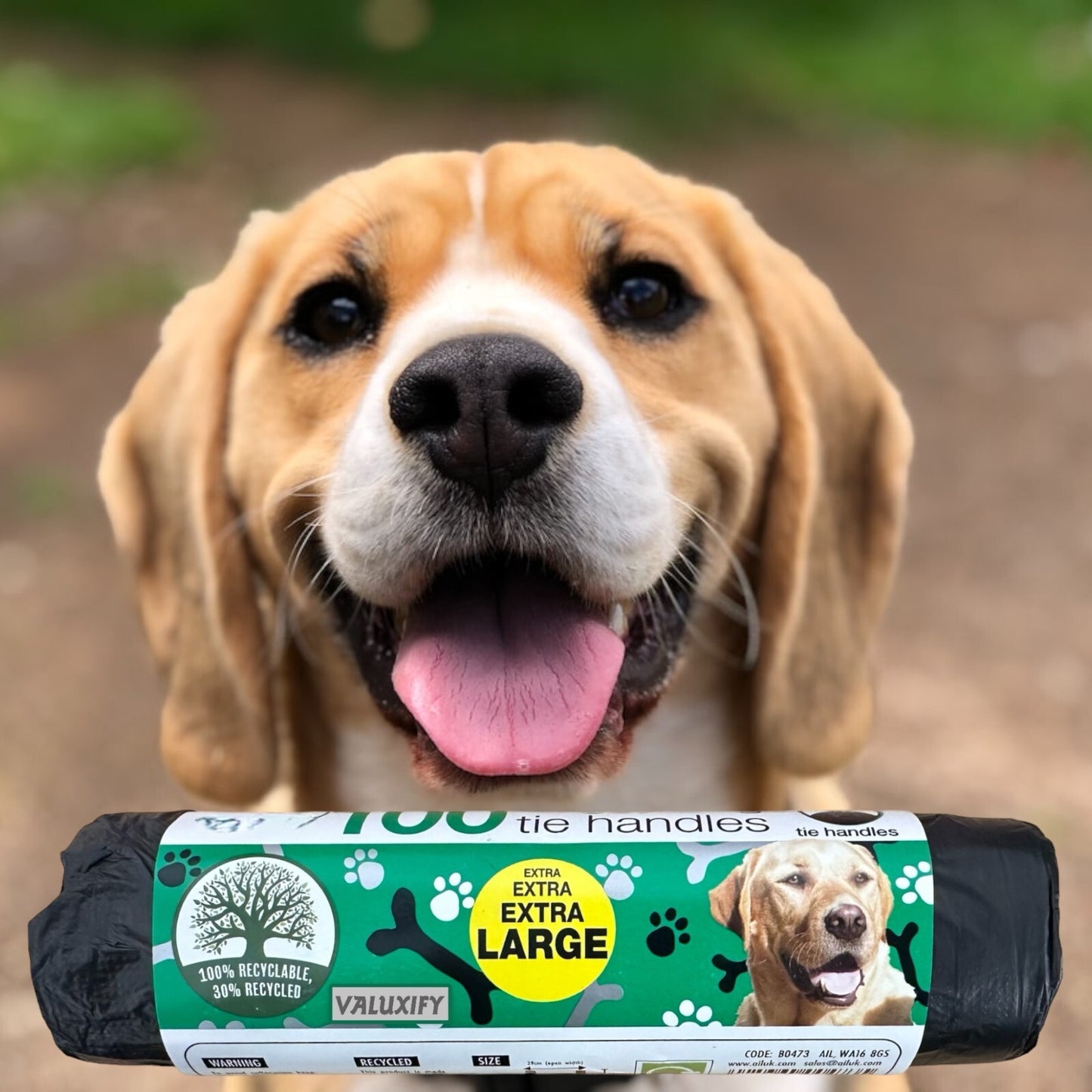 300 Large Tie Handle Doggy Bags - Extra Value Waste Bags for Dogs Poo