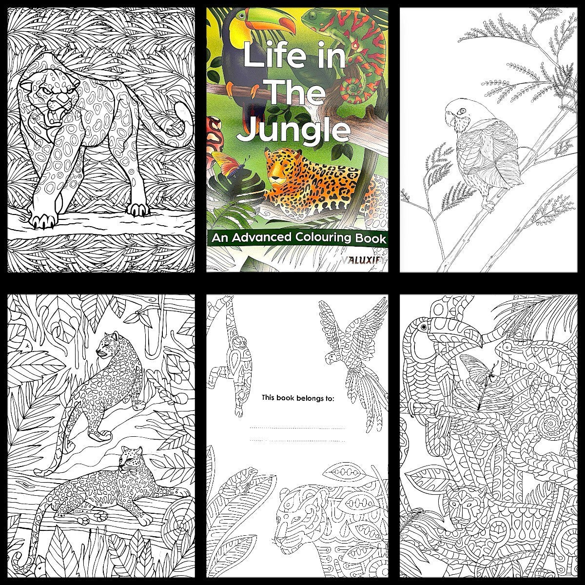 Adult Advance Jungle Colouring Book Colour Therapy Anti Stress 18 Pencils