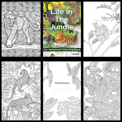 Adult Advance Jungle Colouring Book Colour Therapy Anti Stress 18 Pencils