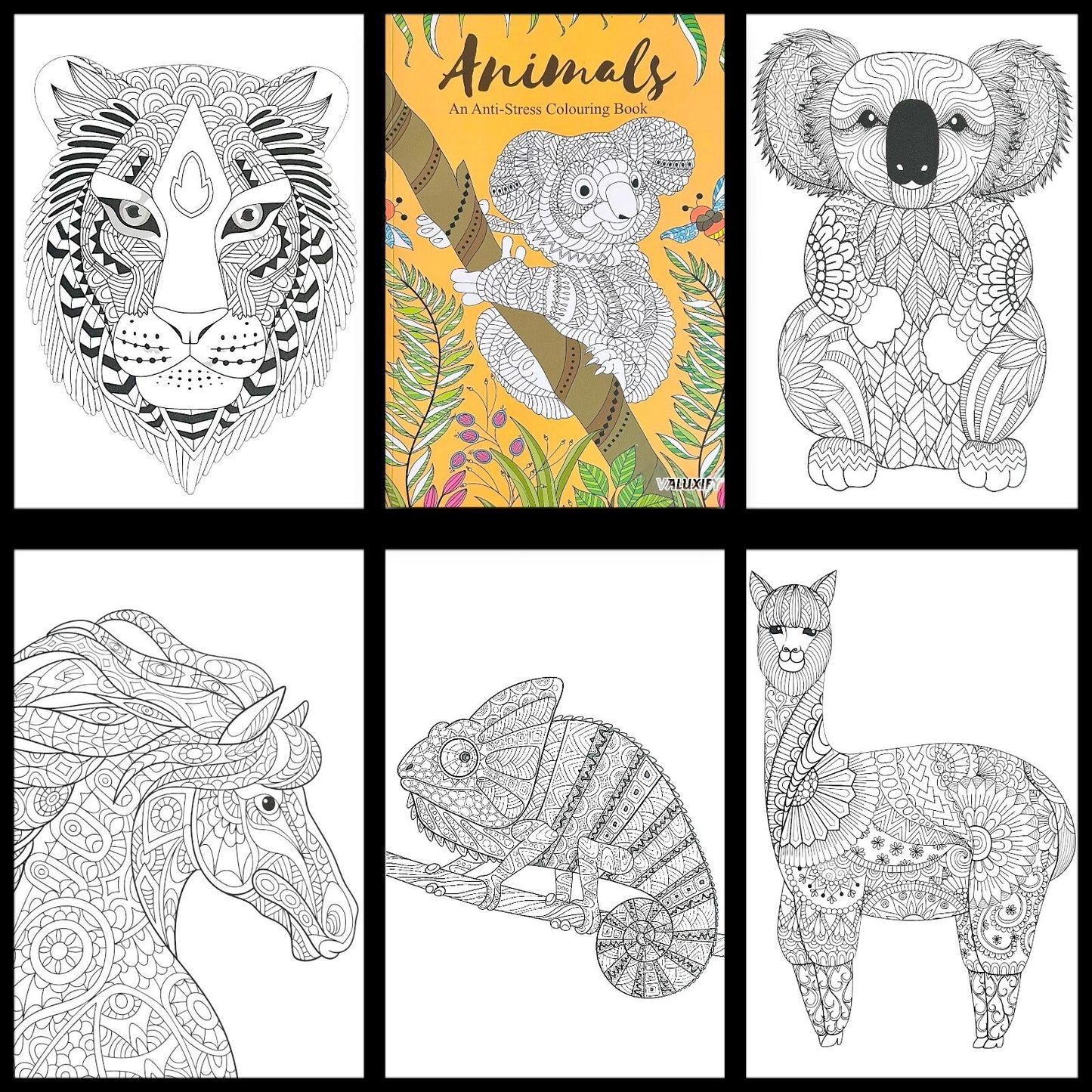 Adult & Teen Advanced Colouring Books – Stress Relief Art Therapy Patterns