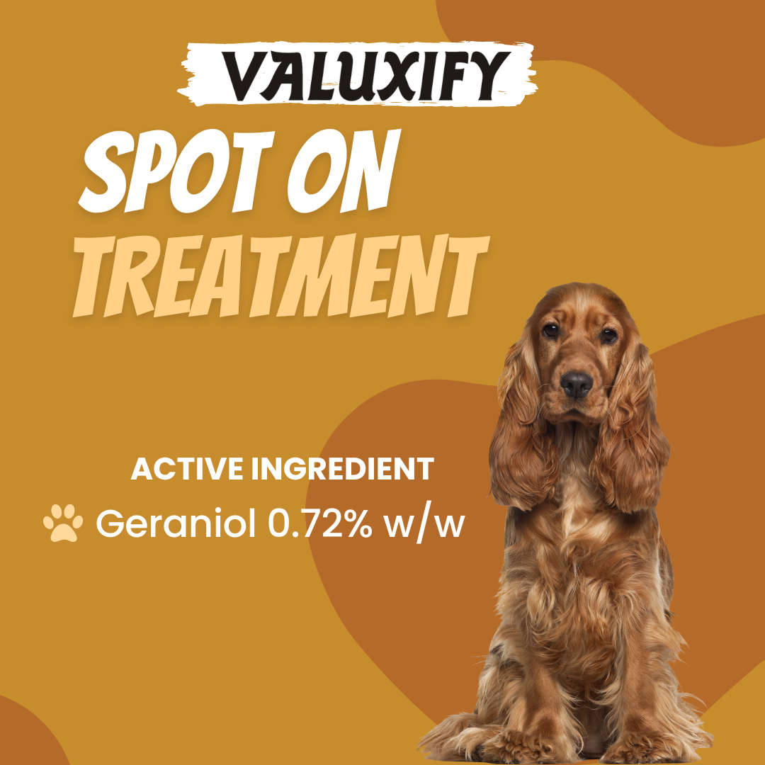 Spot on Flea and Tick Treatment for Dog