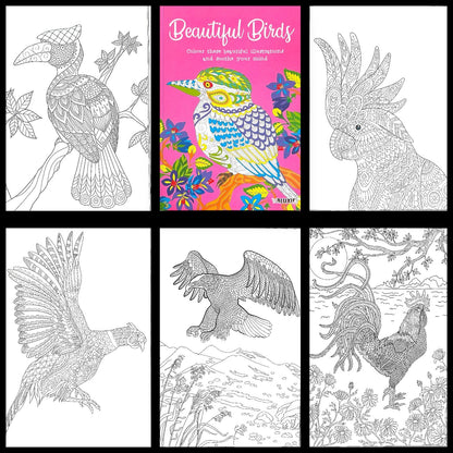 Adult Anti Stress Colouring Book Birds Colour Therapy Nature with 18 Pencils