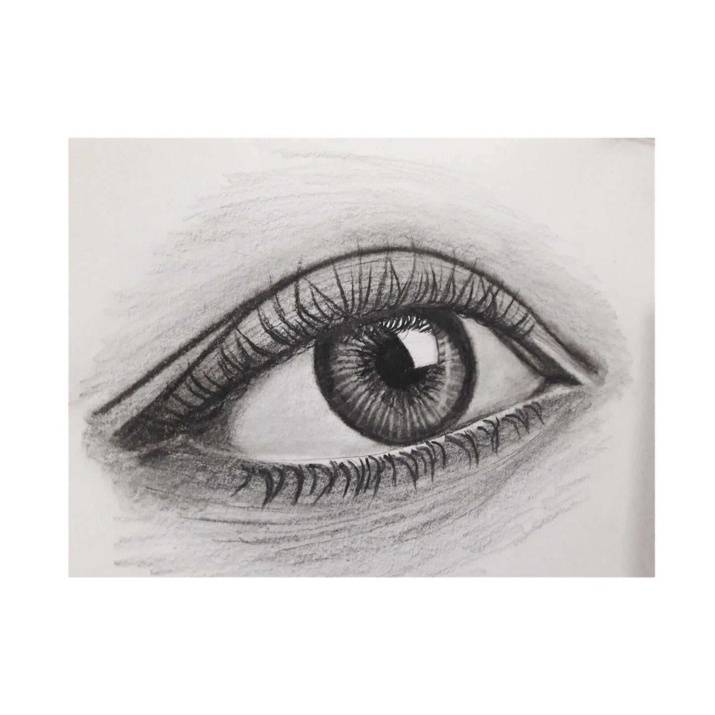 12 | Charcoal Sketching Pencils Drawing Tones Shades Art Artist Picture Pencil