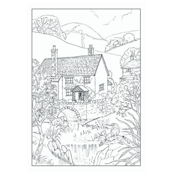 Colouring Book COUNTRY SCENES Advanced book Colour Therapy All Ages A4 size