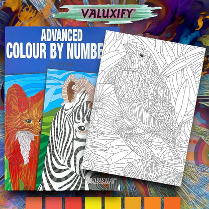 3X COLOUR BY NUMBERS ADULT COLOURING BOOKS ANTI-STRESS MIND RELAING COLOURS