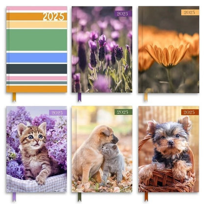 2025 A5 Week To View Diary