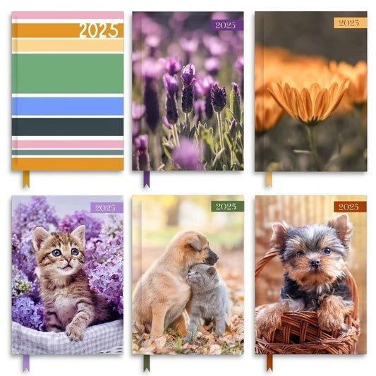 2025 A5 Week To View Diary