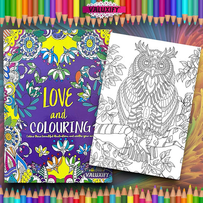 2 Adult Colouring Books Love & Creative Anti Stress Colour Therapy Mind Relax A4