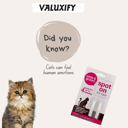 Spot On  Cat Flea & Tick Treatment For Cats