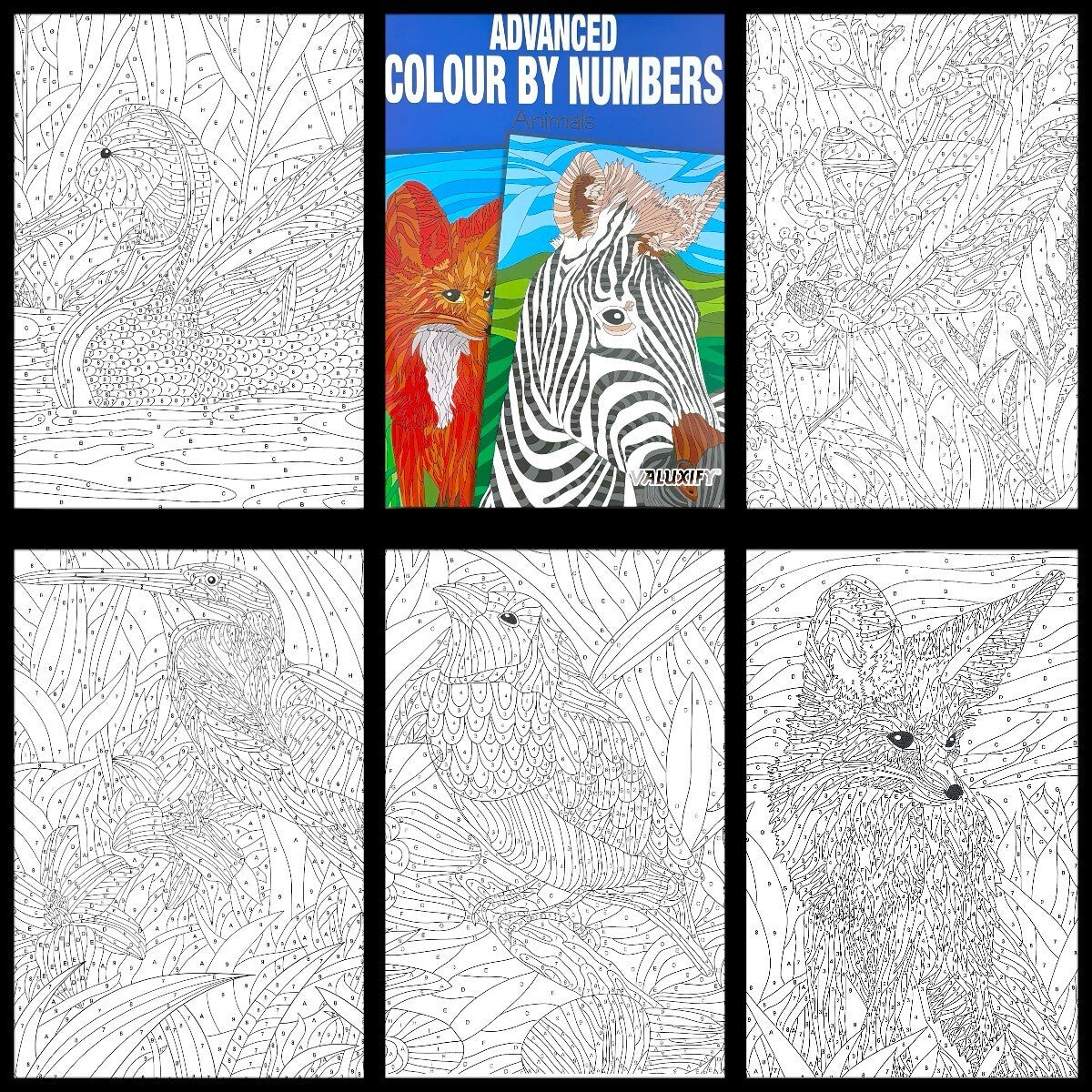 Adult & Teen Advanced Colouring Books – Stress Relief Art Therapy Patterns