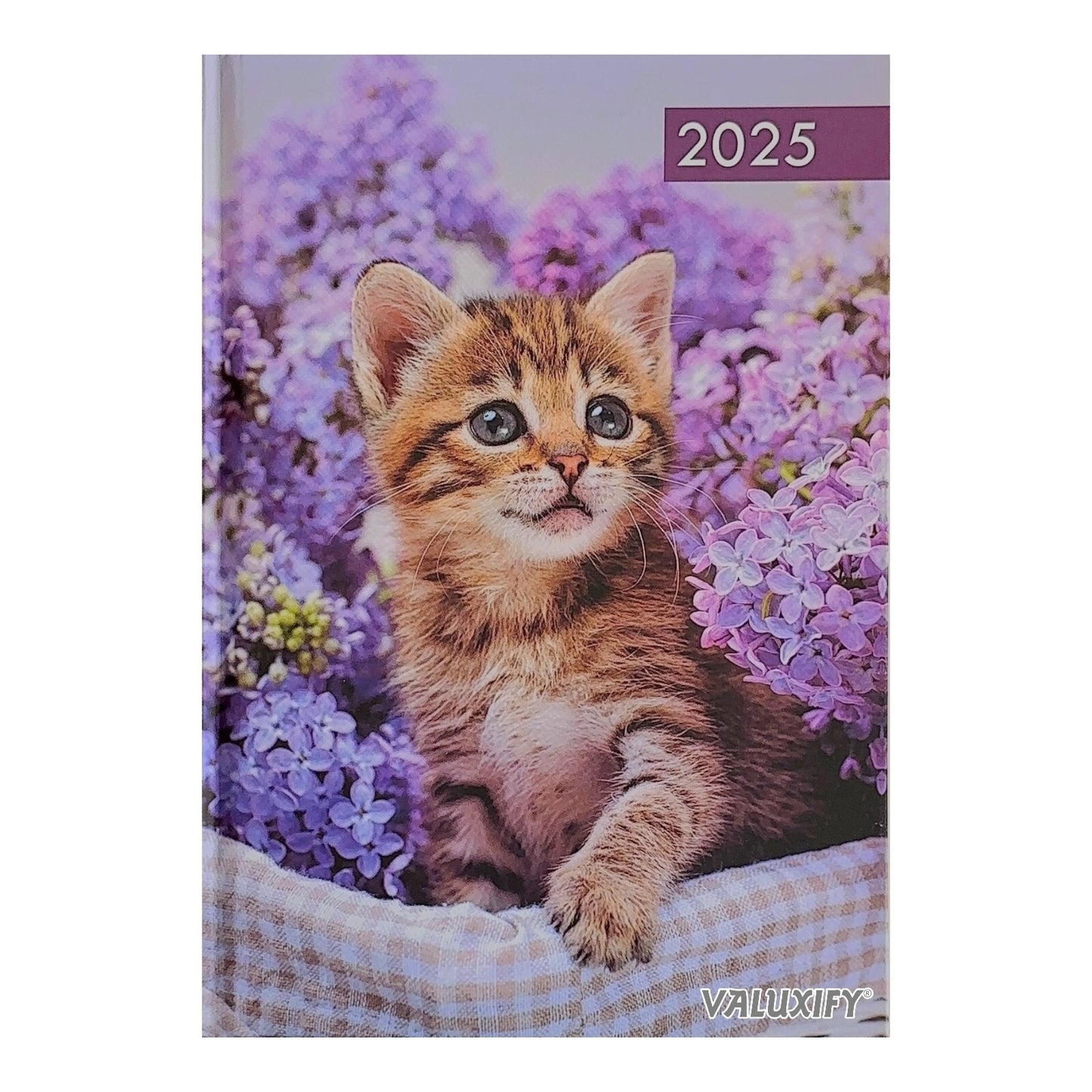 2025 A5 Week To View Diary