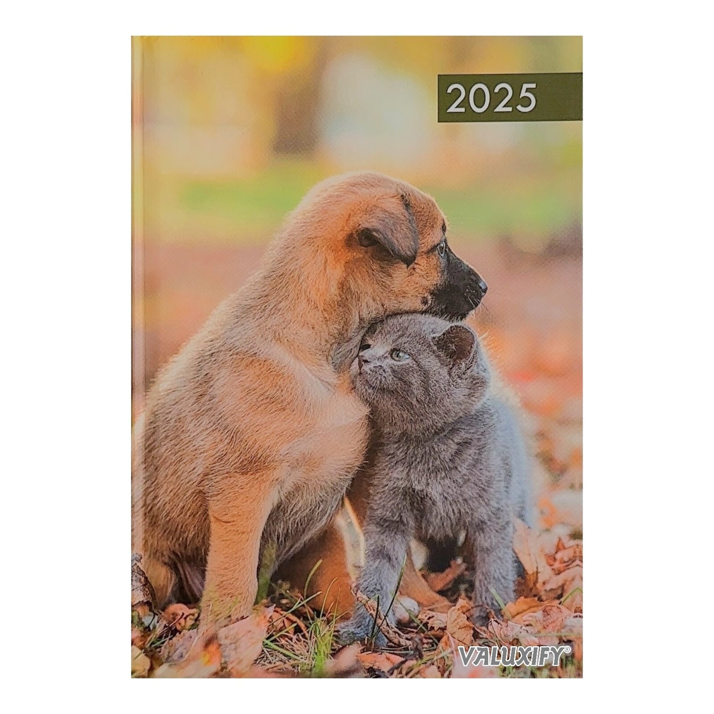 2025 A5 Week To View Diary