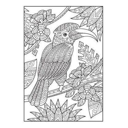 Advanced Colouring Book A4